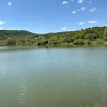 за гости